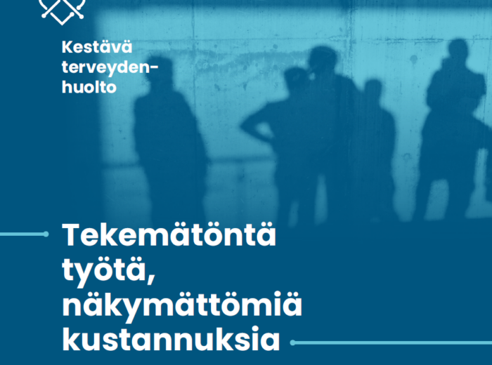 Tekemätöntä työtä, näkymättömiä kustannuksia -jatkoselvitys