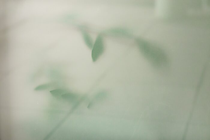 Idiopaattisen keuhkofibroosin (IPF) tautitaakka Suomessa