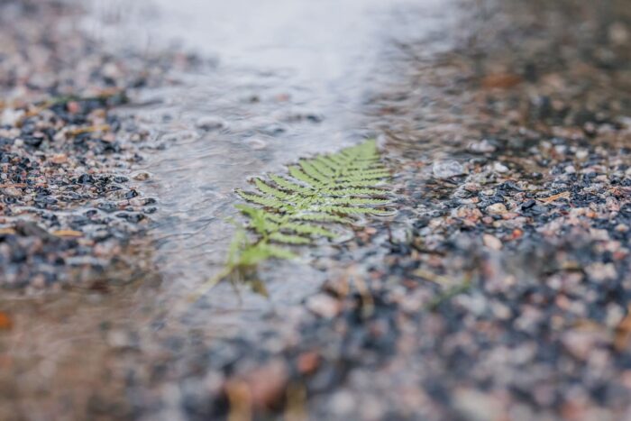 My Migraine Voice -tutkimus paljastaa migreenin emotionaalisen ja sosiaalisen taakan Suomessa