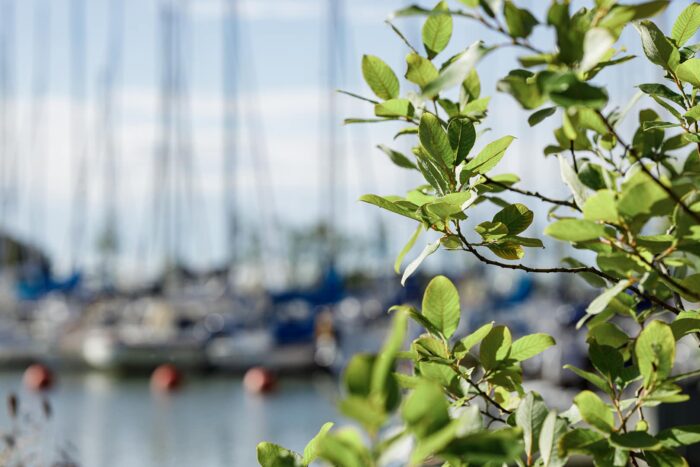 Lonkka- ja polvinivelrikko yli kaksinkertaistaa työikäisten sairauspoissaolojen ja työterveyskäyntien lukumäärän