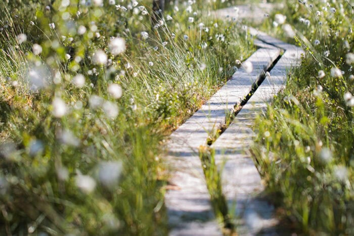 Sairaalalääkkeiden arviointi nyt ja tulevaisuudessa
