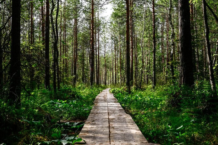 Medaffcon and Pharma Industry Finland begin a study in order to produce indicators for measuring effectiveness in healthcare  