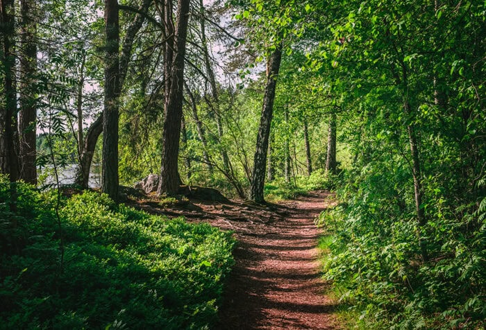 Medical Affairs now and before