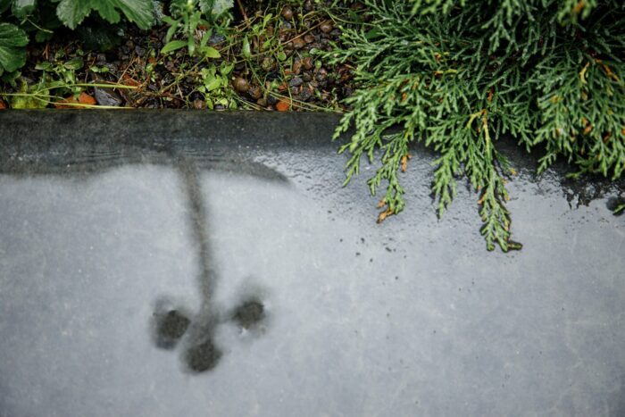 Gaucher-tutkimus toi uusia näkökulmia suomalaisten biopankkiaineistojen hyödyntämismahdollisuuksiin sekä harvinaissairauksien seulomiseen