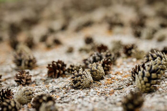 Text mining helped analyse a million entries on smoking