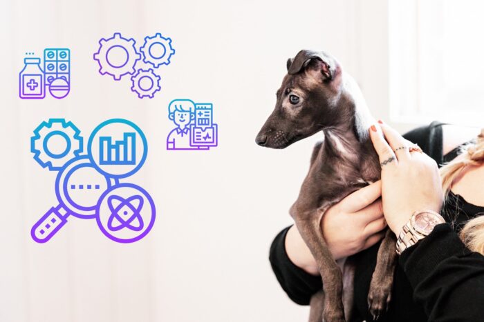 RWE provides information for many needs