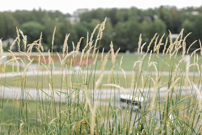 Medaffcon unlocks new research opportunities with Swedish real-world health data