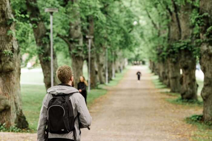 Lääkeasioiden uudistusta jatketaan alkaneella hallituskaudella – Lauri Pelkosen ryhmä jakoi työn neljään osakokokonaisuuteen