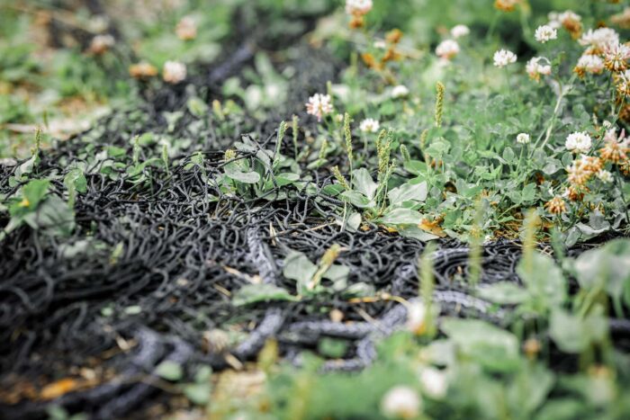 Atopic dermatitis is often under-treated despite various co-morbidities, reveal real-world data