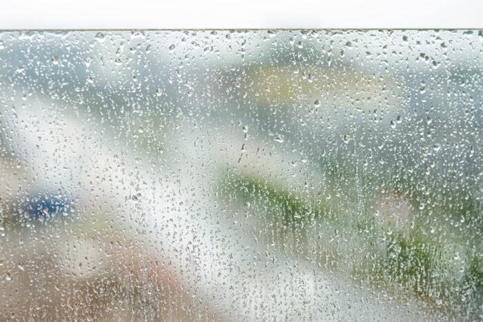 Medaffcon’s matching know-how on display in immunosuppressant study