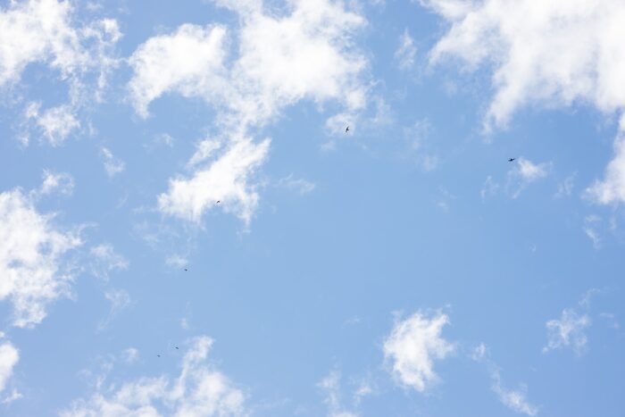 Finland: An Ideal Environment for the Pharmaceutical Industry’s Real-World Evidence (RWE) Studies