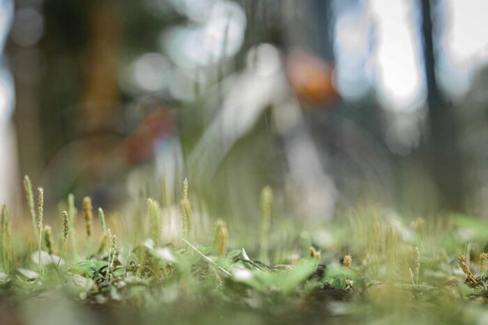 Heikki Koski Appointed as CEO of Medaffcon Oy