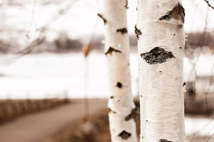 Mittava suomalaisaineisto toi uutta tietoa myeloomaan liittyvästä infektioriskistä ja kuolleisuudesta