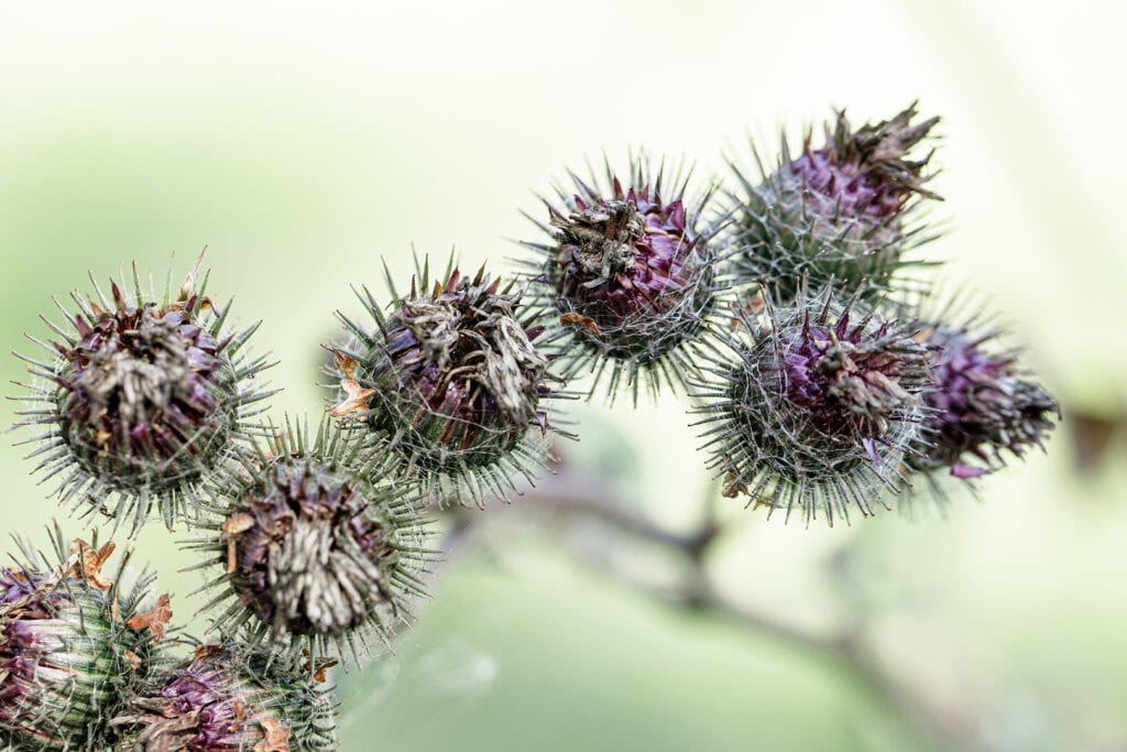 Medaffcon RWE | Evidence. Access. Impact.