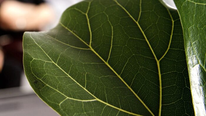 Customer Needs at the Centre of Patient Dynamics Development