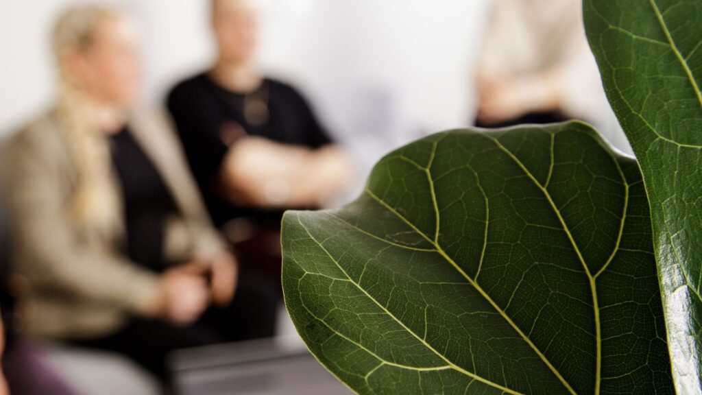 Medaffcon services | Evidence. Access. Impact.